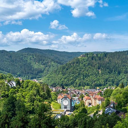 Ferienwohnungen Schwabenhof Schramberg Kültér fotó